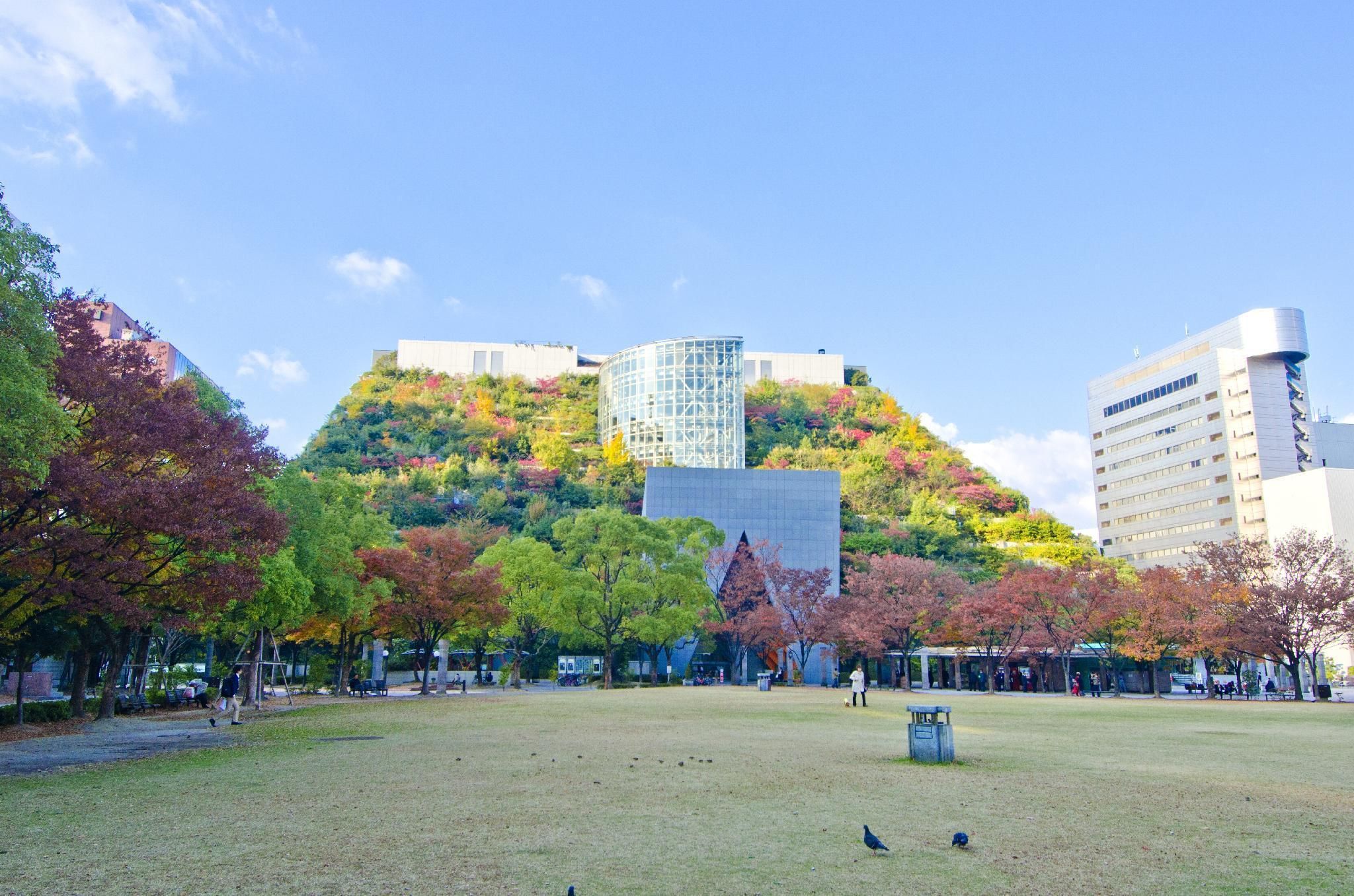 Outdoor view