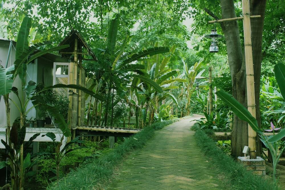 Outdoor view