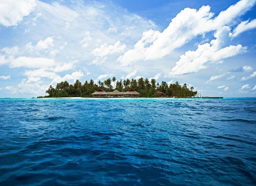Other Photo