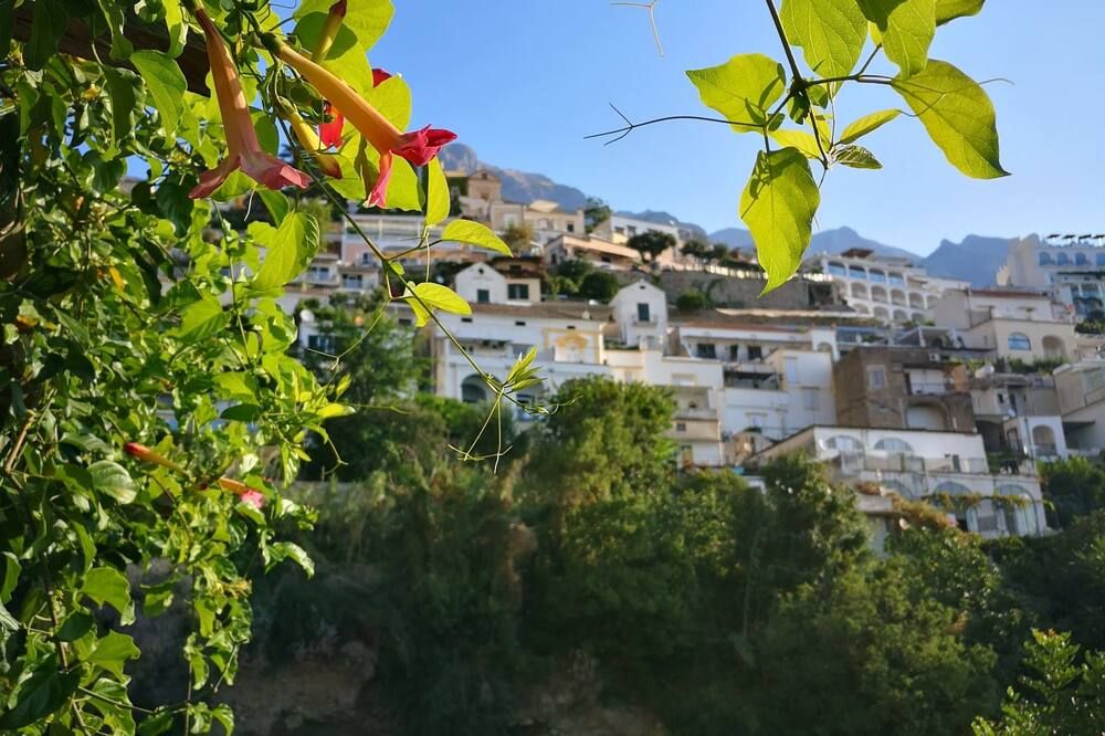 Outdoor view