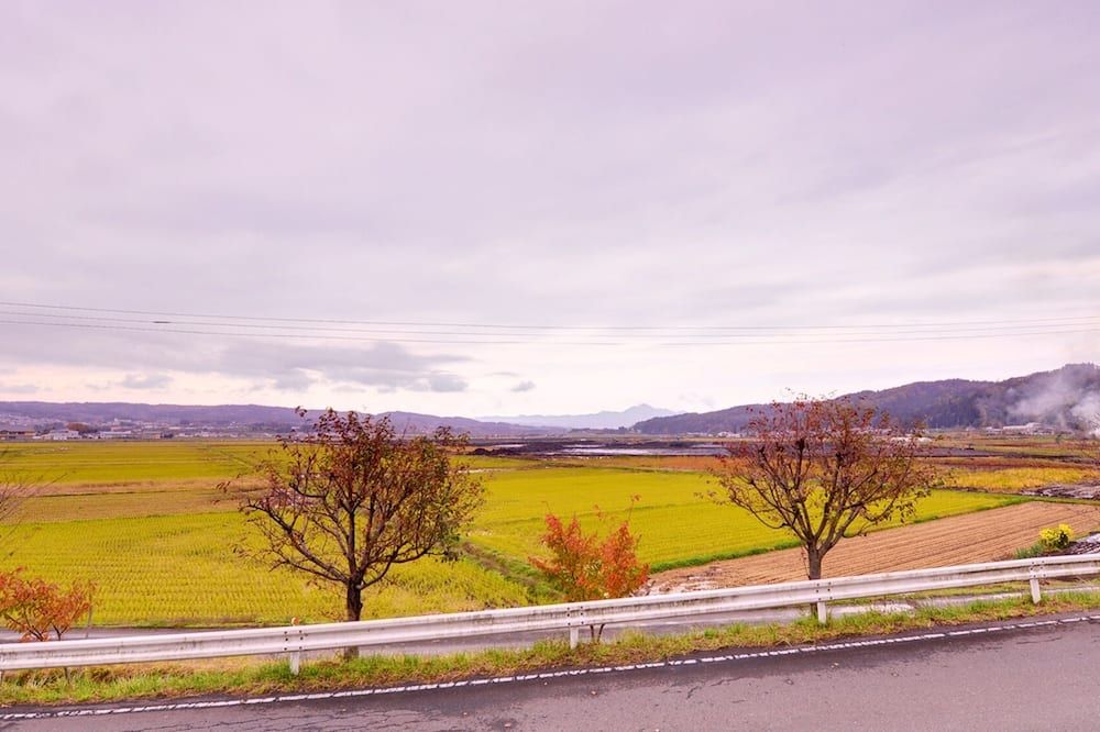 Outdoor view