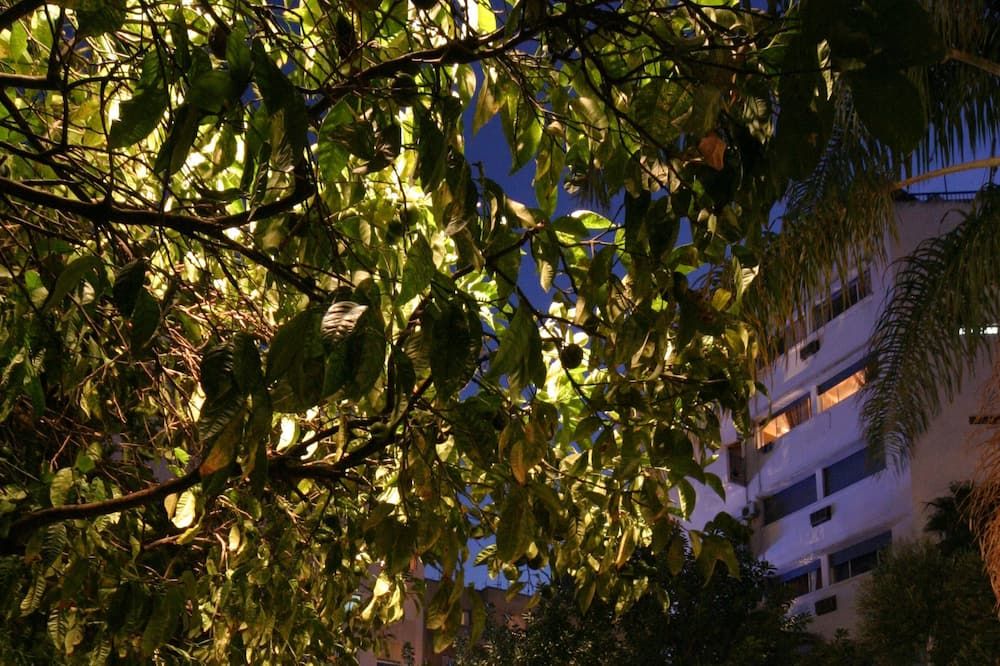 Outdoor view