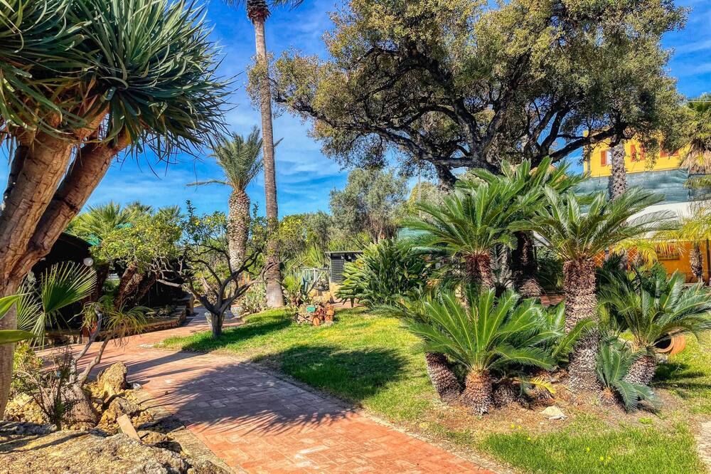 Outdoor view