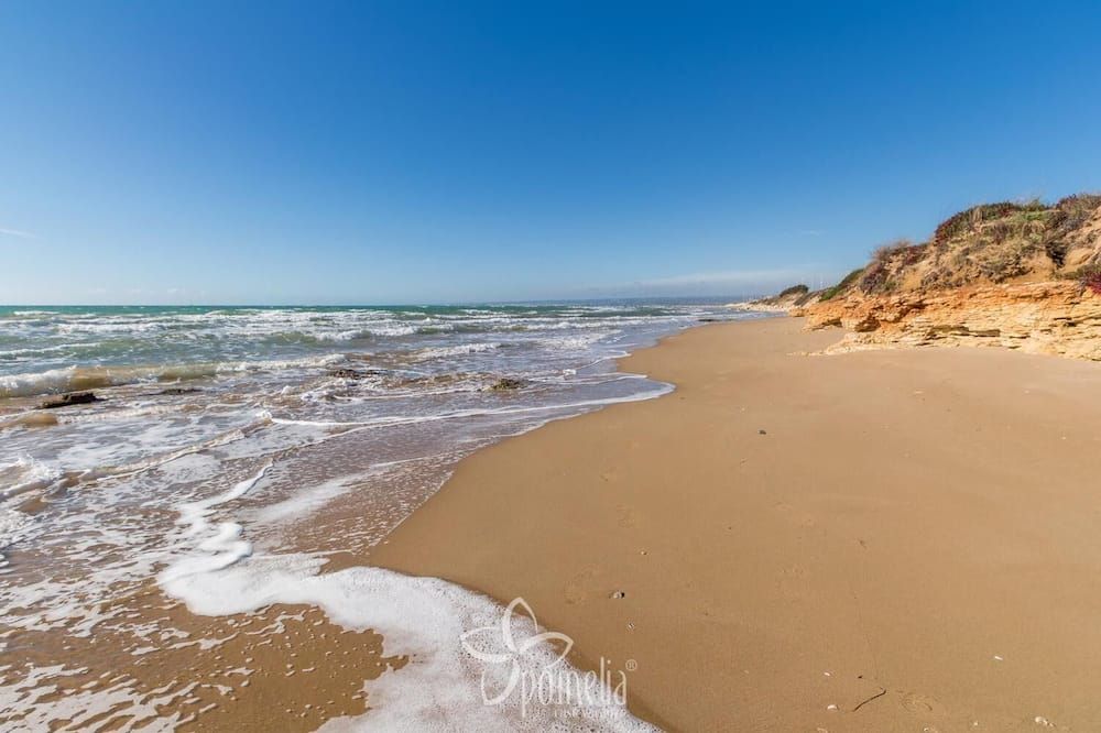 Beach Photo