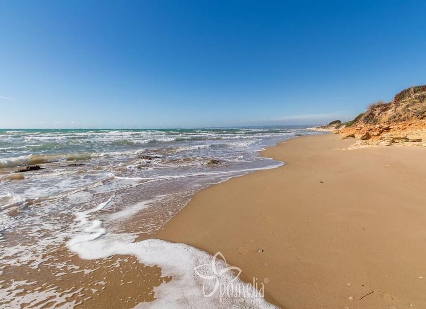 Beach Photo
