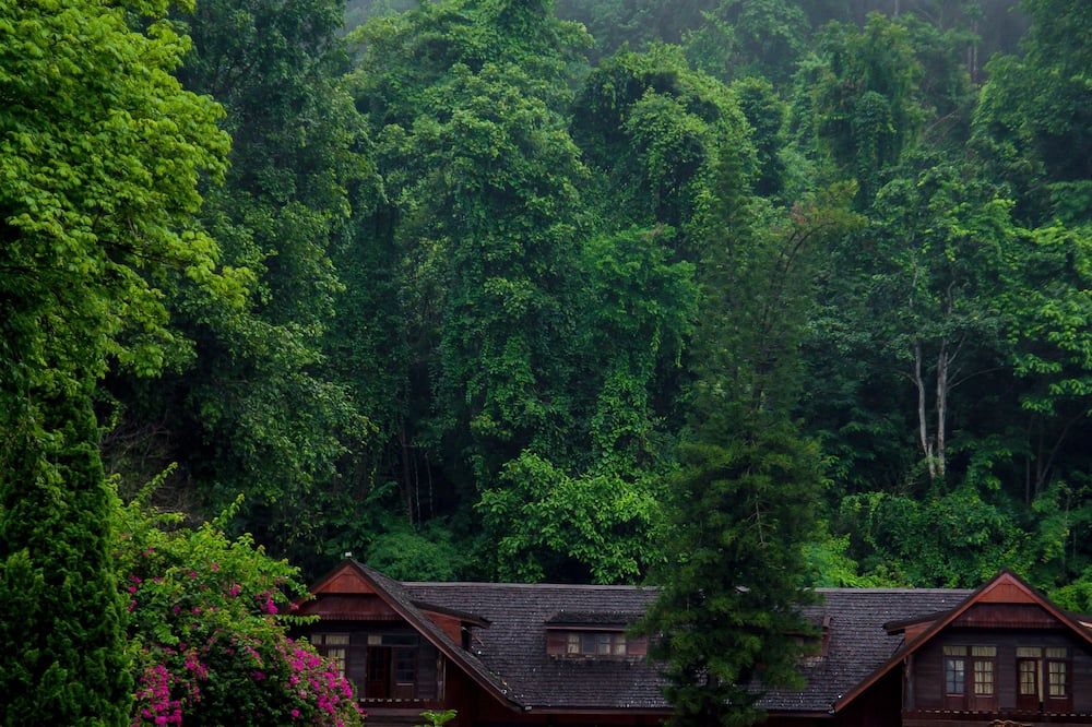 Outdoor view
