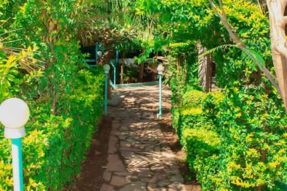 Outdoor view