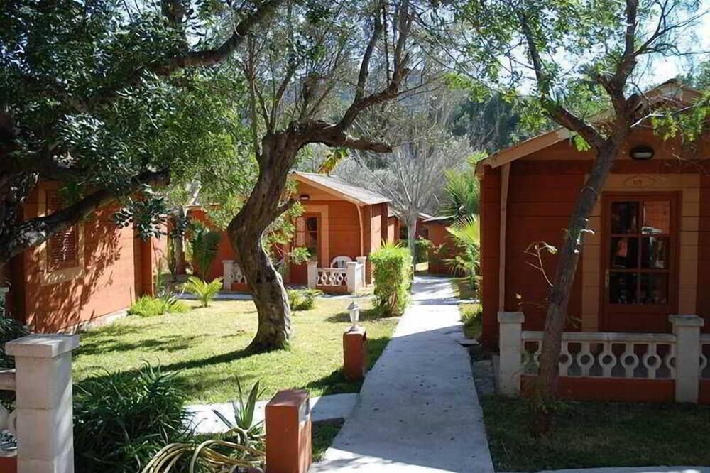 Outdoor view