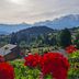 Outdoor view