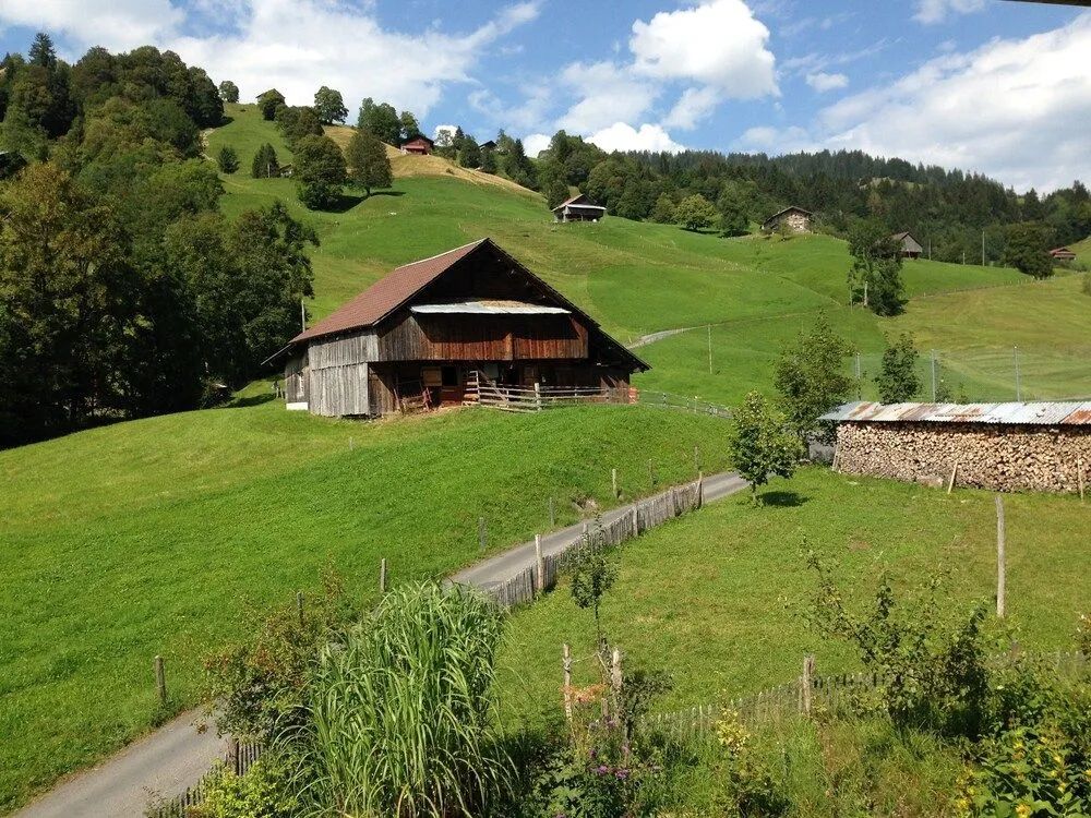 Outdoor view Photo