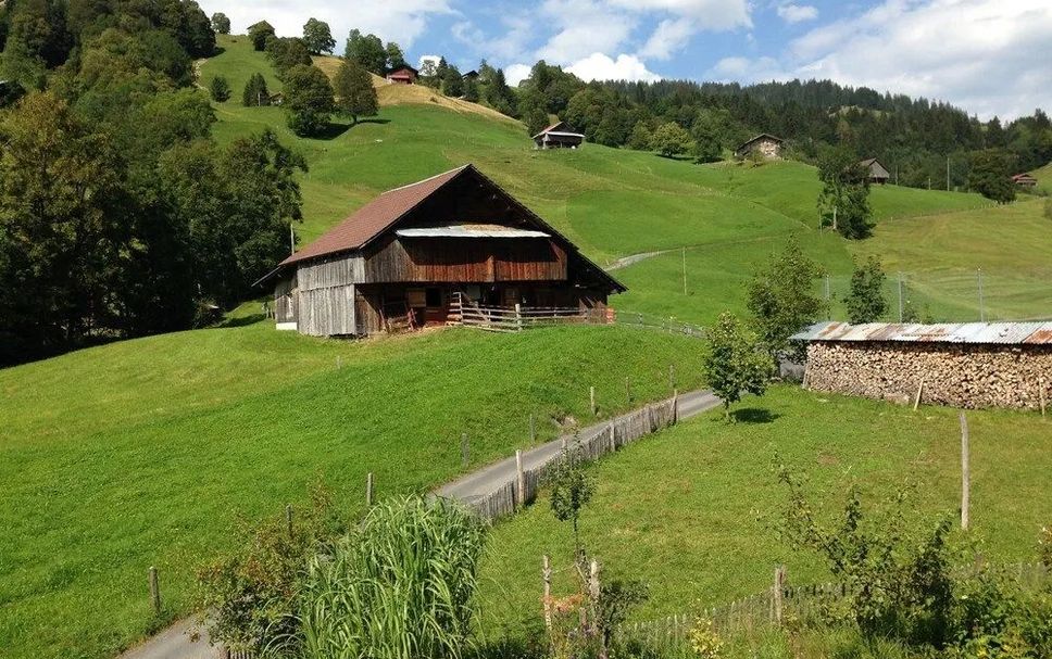Outdoor view Photo