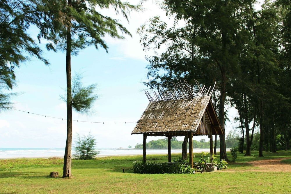Outdoor view