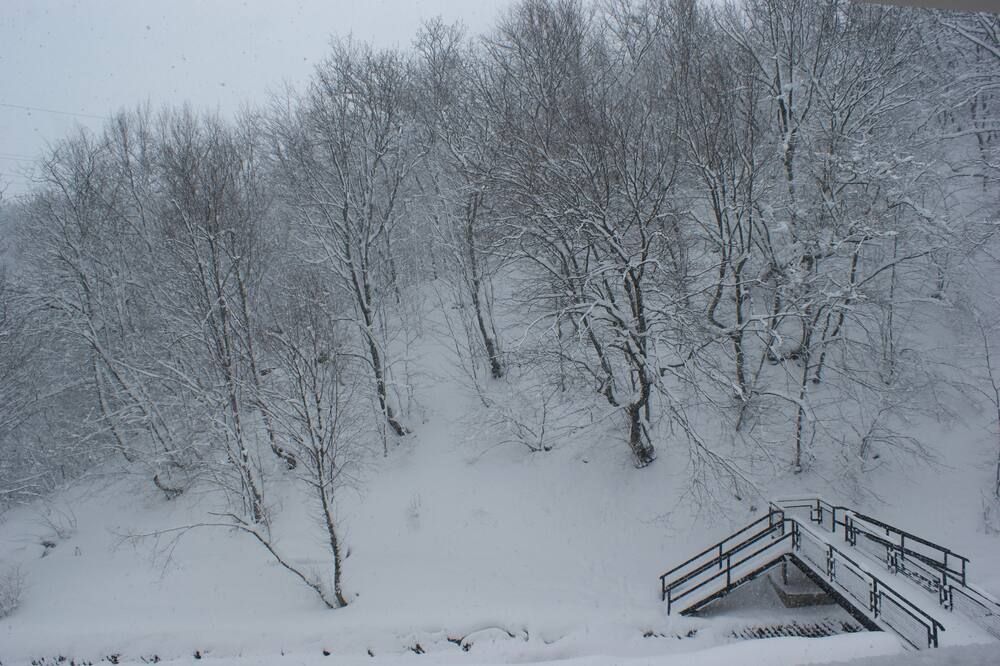 Outdoor view