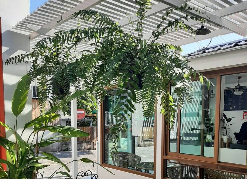 Patio Photo