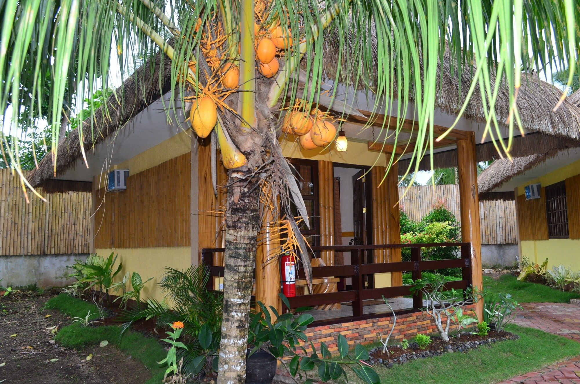 Outdoor view
