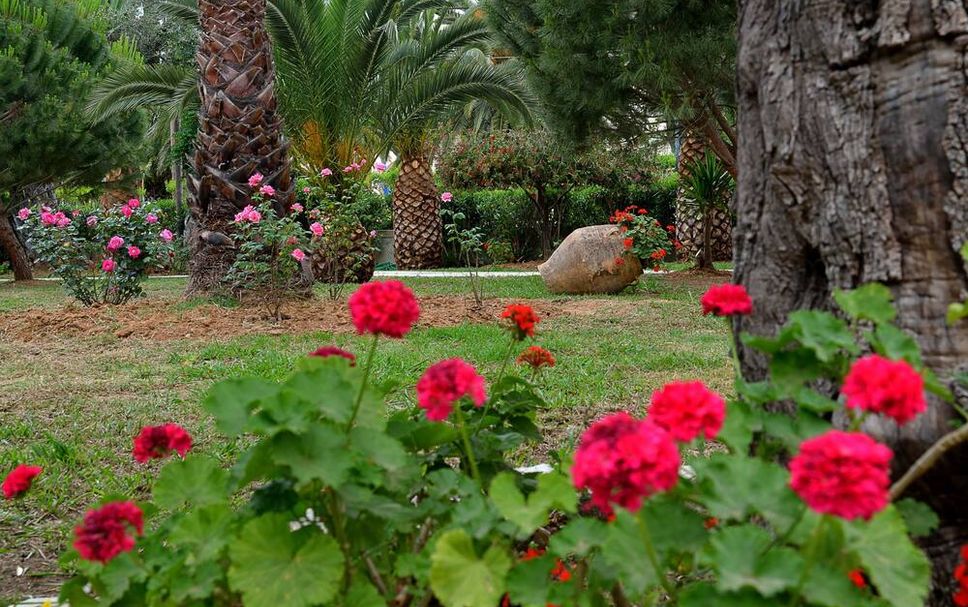 Outdoor view Photo