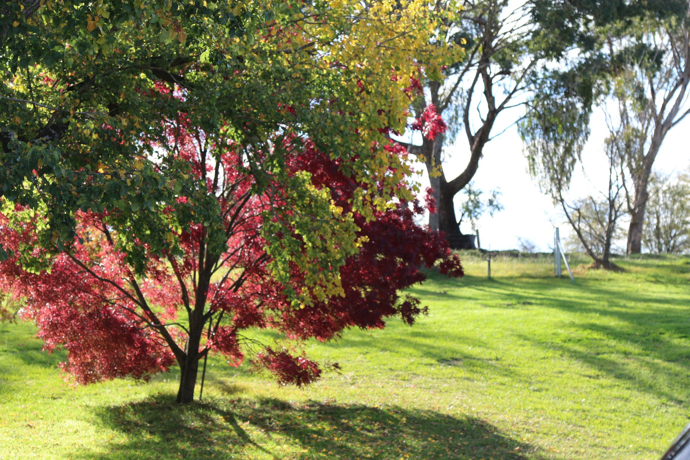Outdoor view