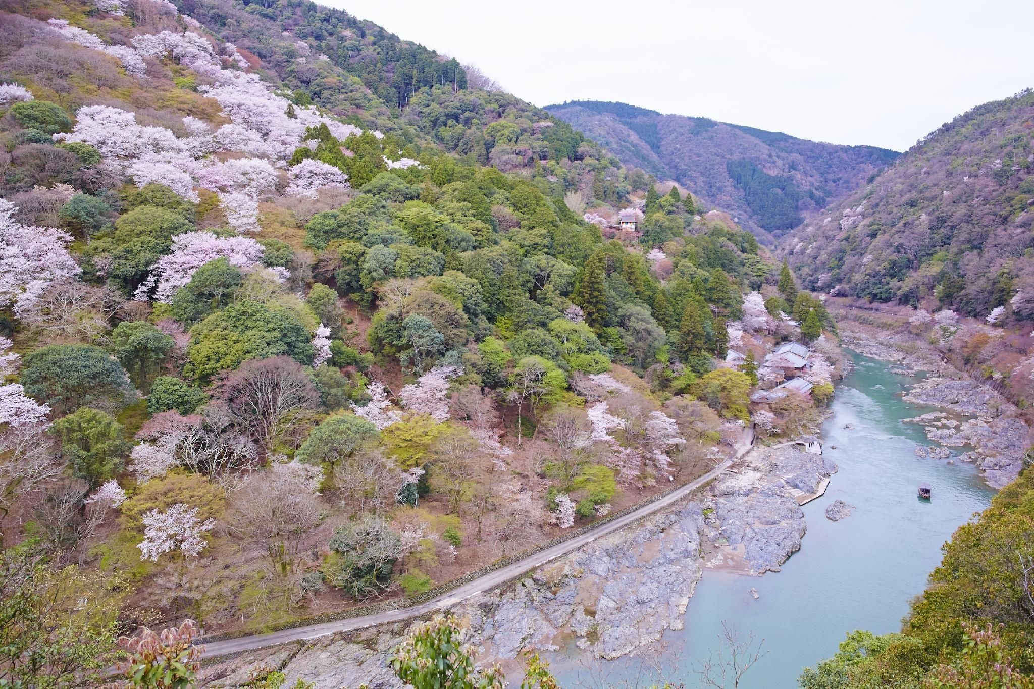 Outdoor view