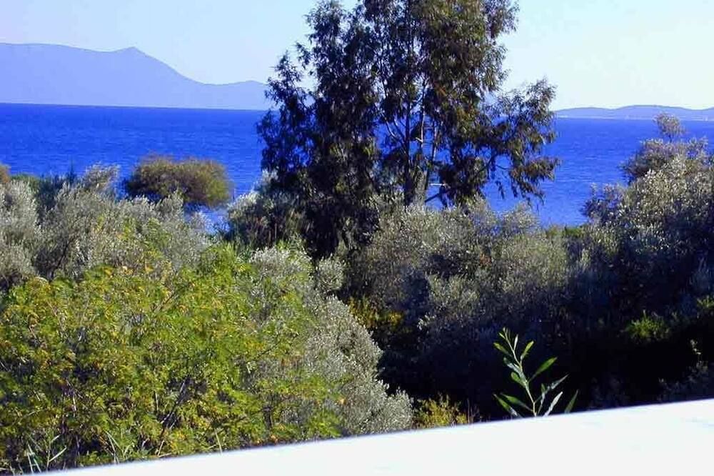 Outdoor view