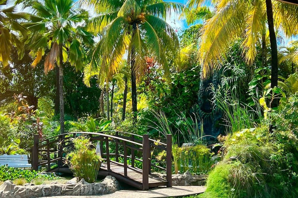 Outdoor view