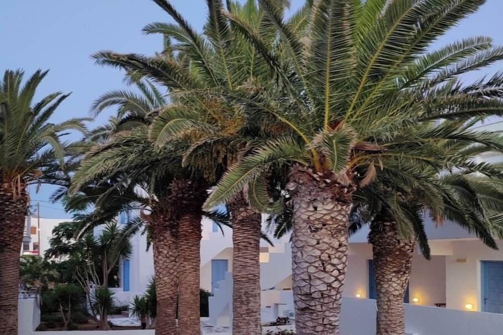 Outdoor view