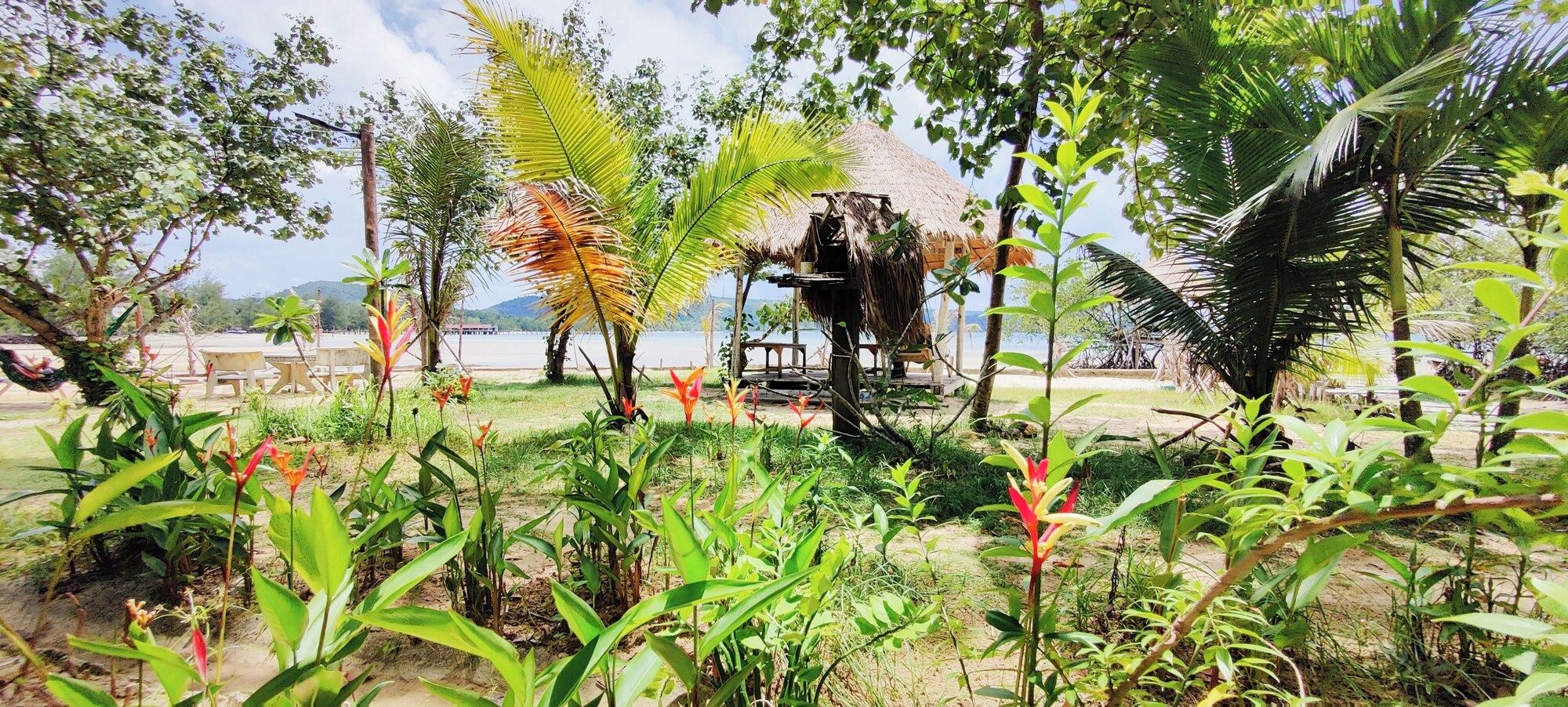 Outdoor view
