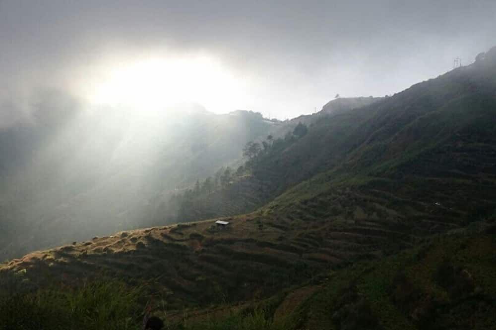 Outdoor view