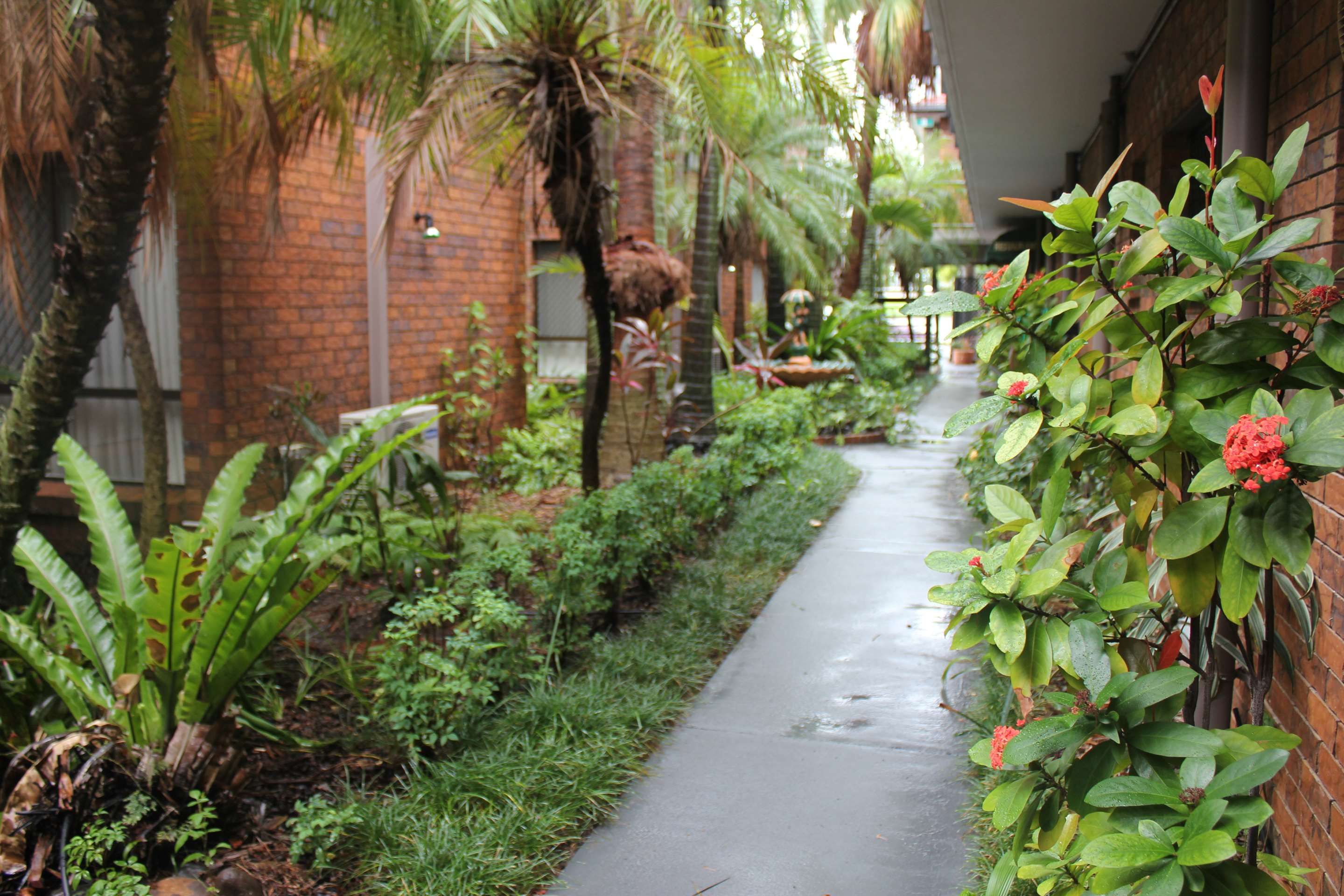 Outdoor view