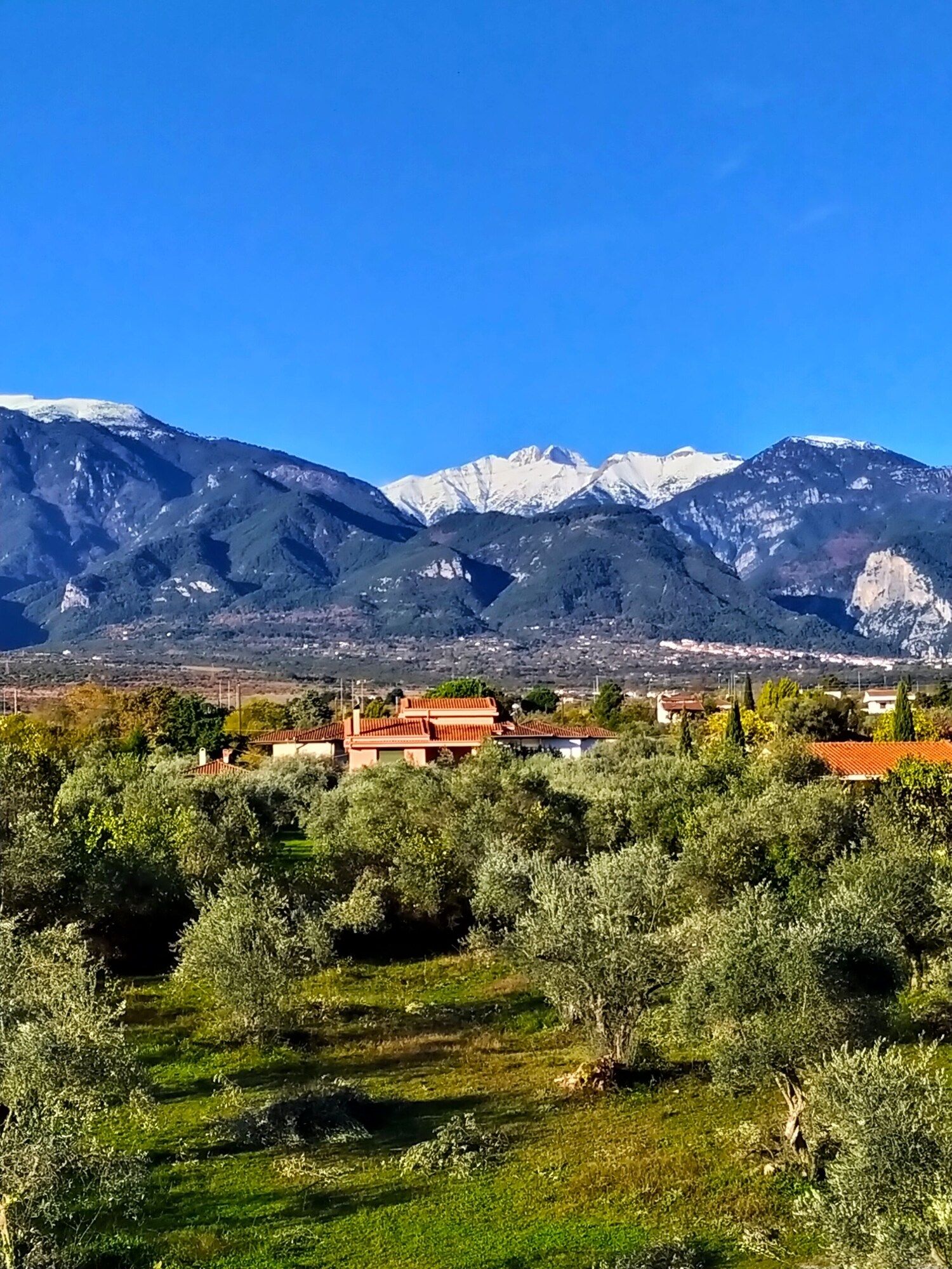 Outdoor view