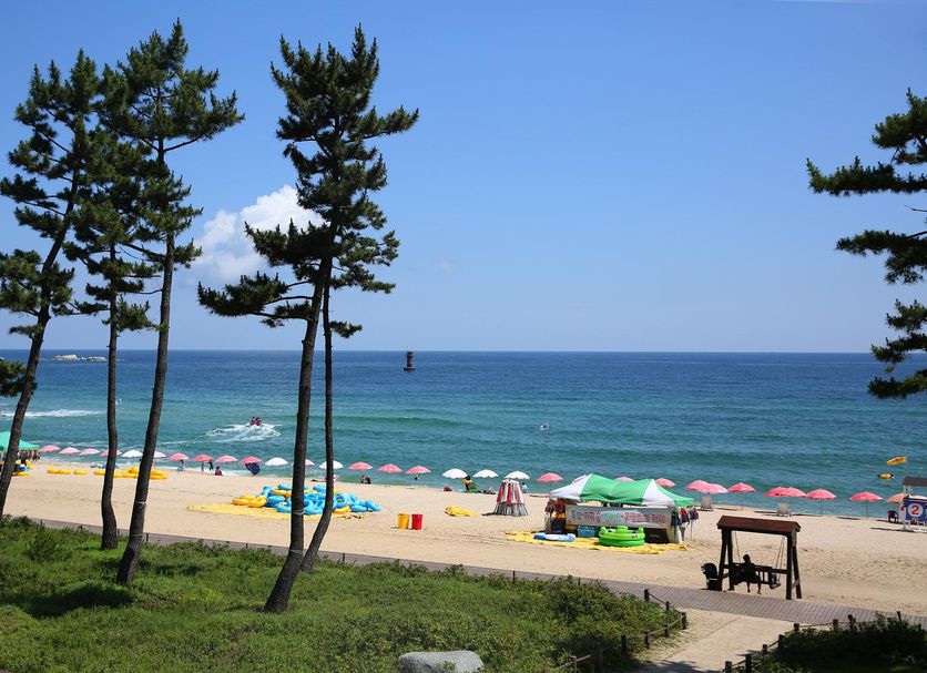 Beach Photo