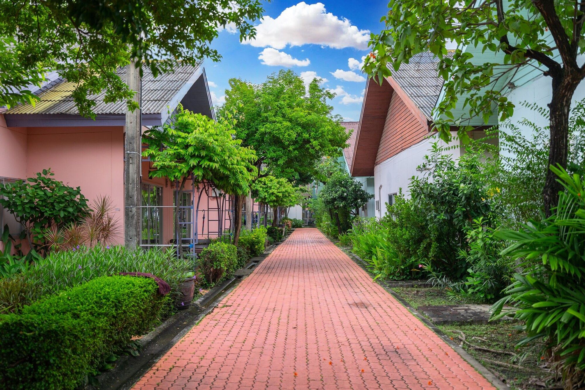 Outdoor view