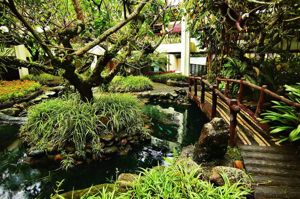 Outdoor view