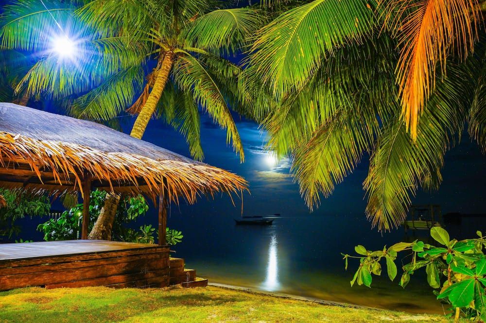 Outdoor view