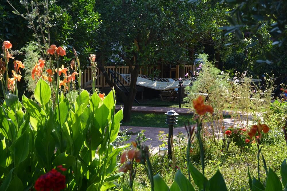 Outdoor view