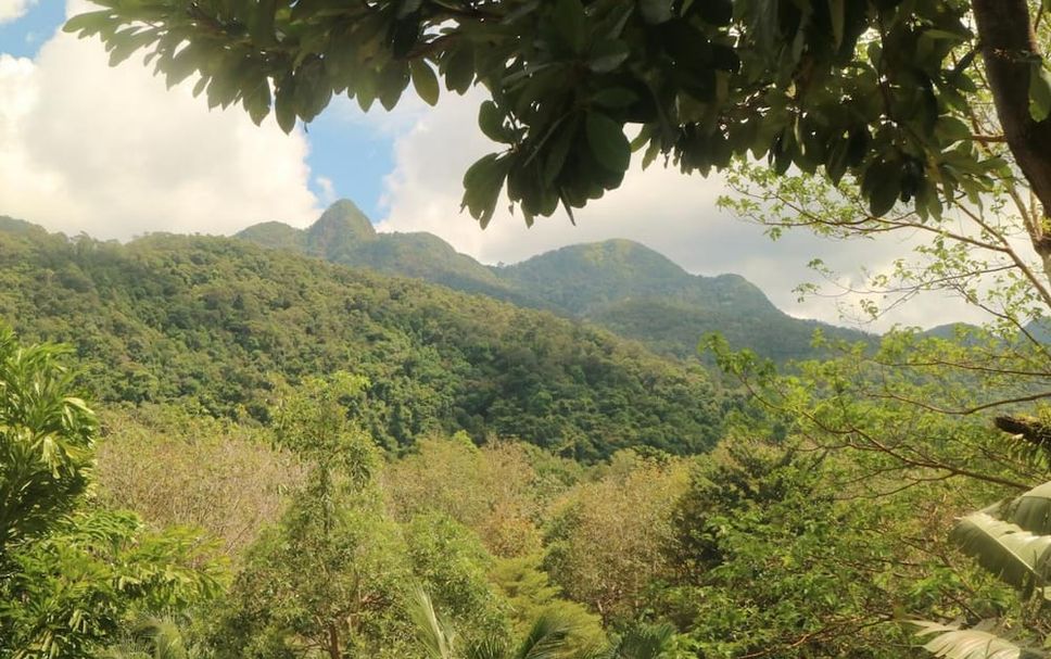 Outdoor view Photo