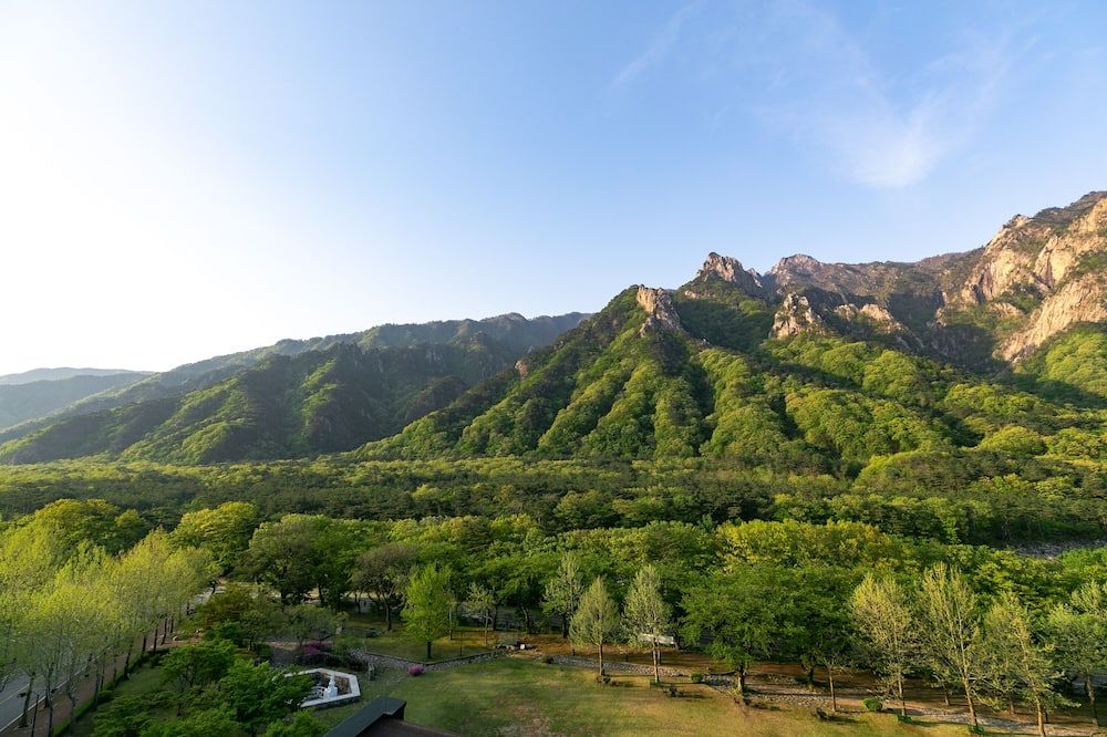 Outdoor view