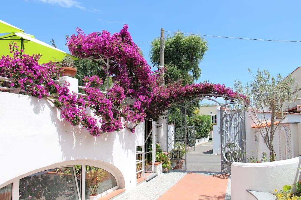 Outdoor view
