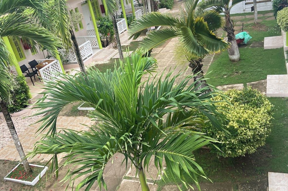 Outdoor view