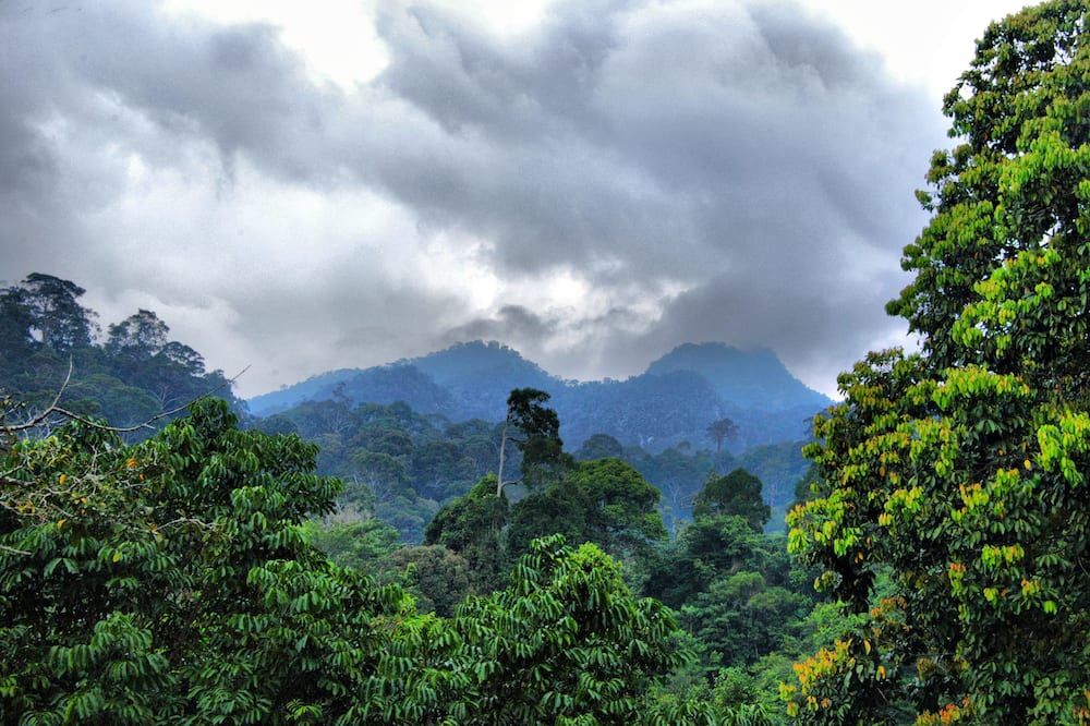 Outdoor view