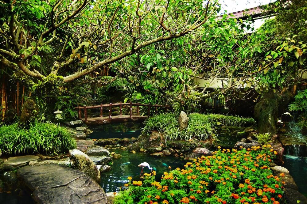 Outdoor view