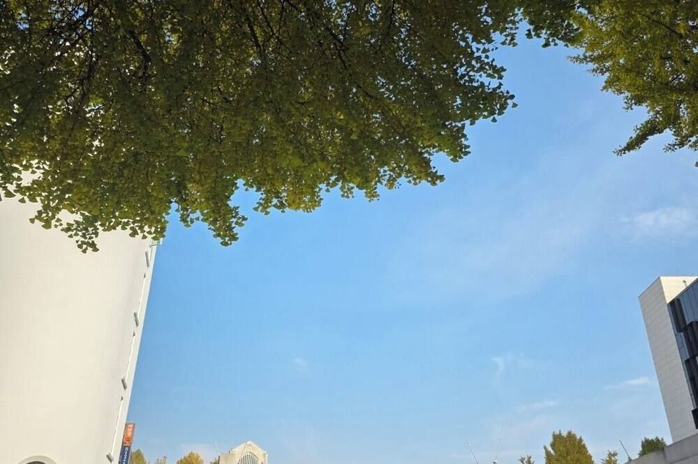 Outdoor view
