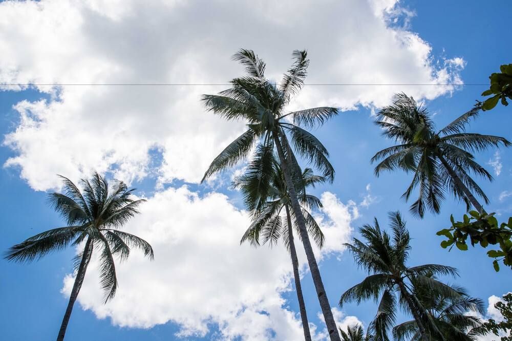 Outdoor view