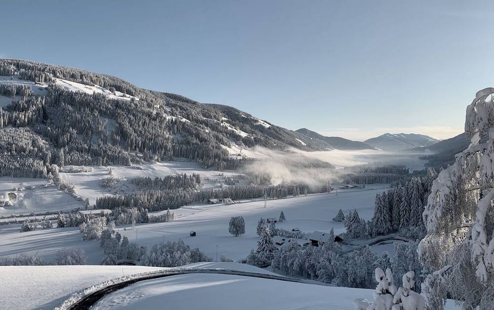Other Photo