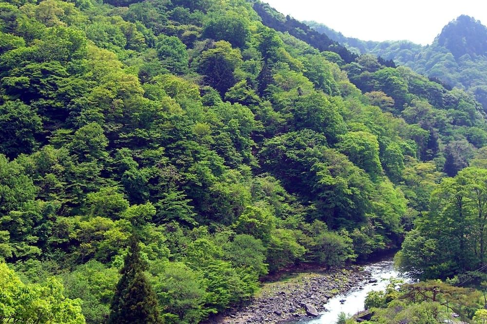 Outdoor view