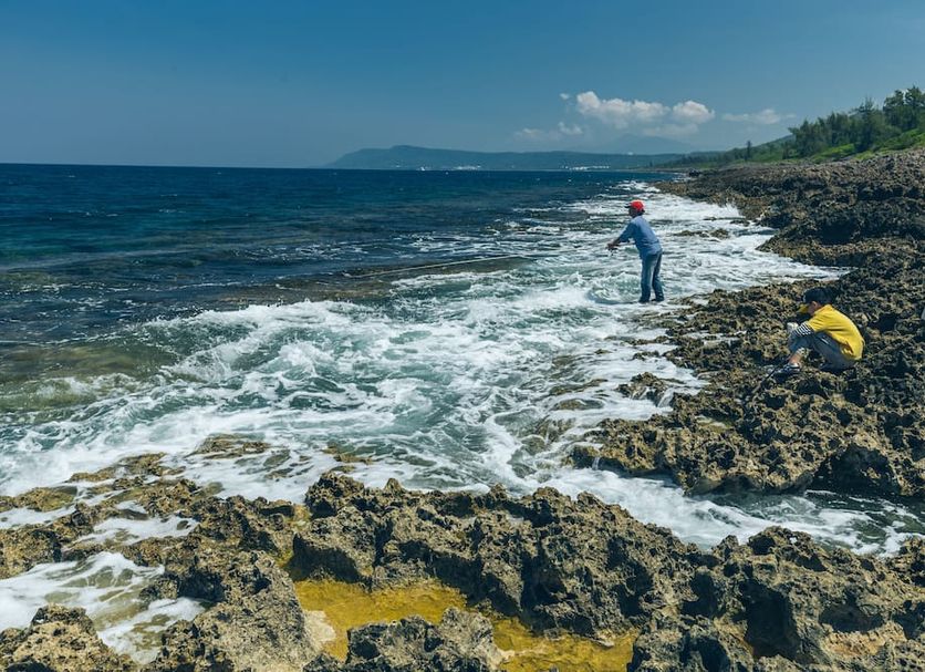 Other Photo
