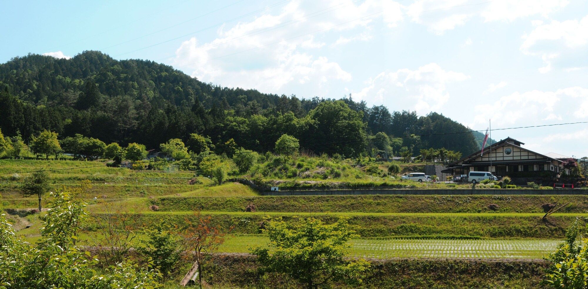 Outdoor view