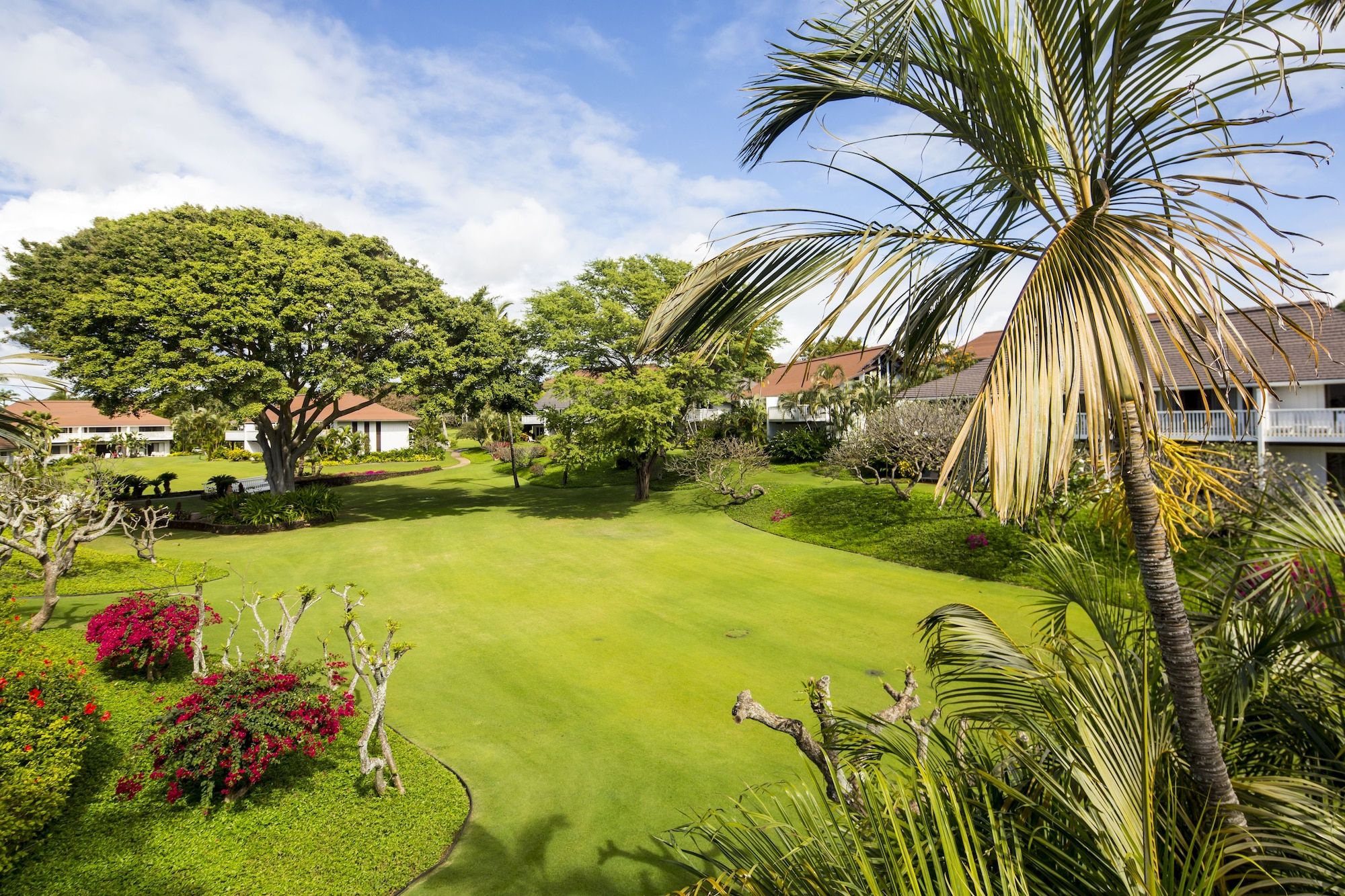 Outdoor view