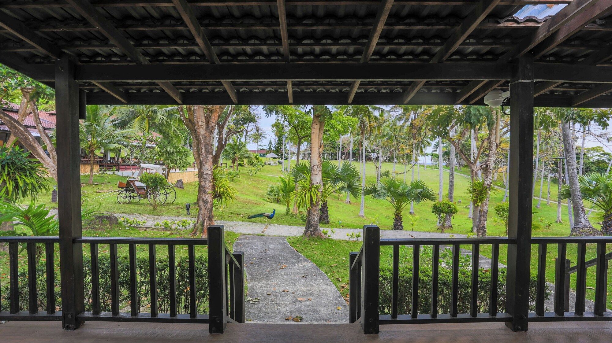 Outdoor view