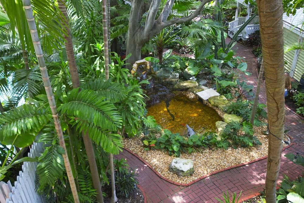 Outdoor view