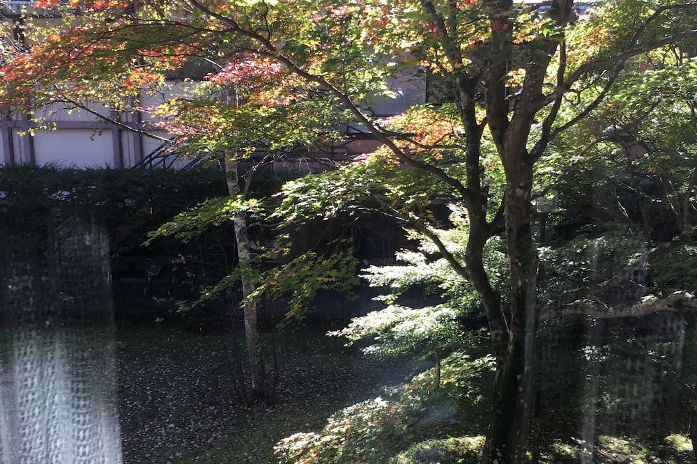 Outdoor view